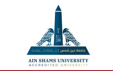 Ain Shams University